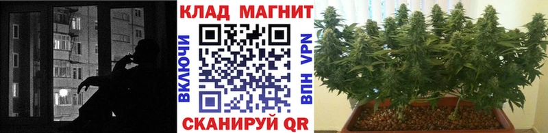 Каннабис Уржум