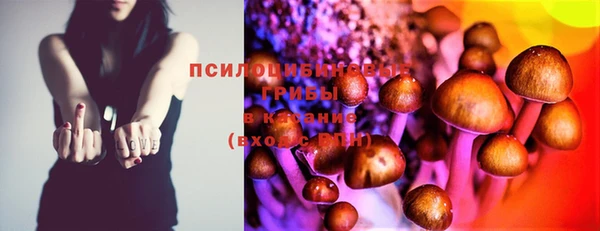 не бодяженный Михайлов