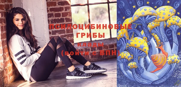 не бодяженный Михайлов