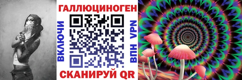Купить закладки  Уржум  Галлюциногенные грибы GOLDEN TEACHER 